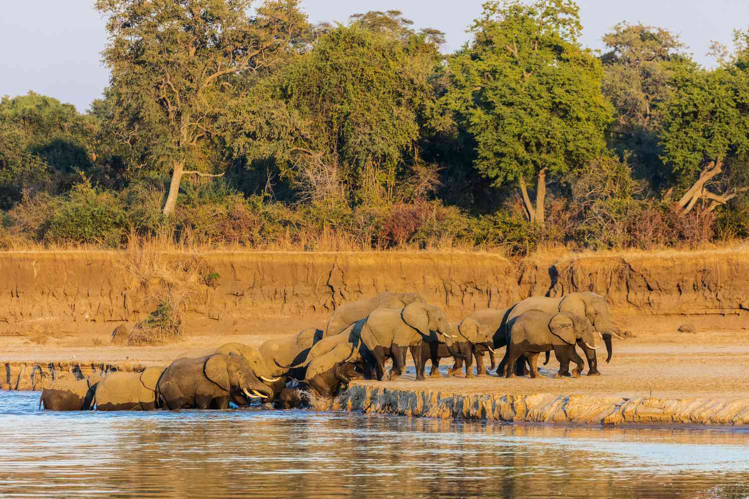 South Luangwa